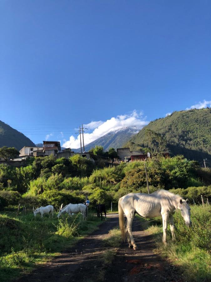 Premium Holiday Cabin - Spectacular Tungurahua Volcano View Banos  Exterior photo